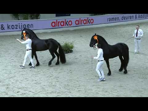 HK2021 Ereronde rubriek 7