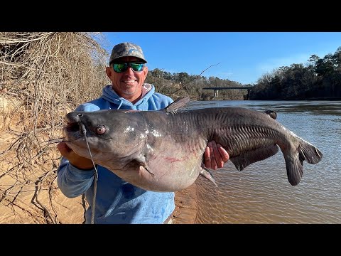 Giant Blue Catfish on the Chattahoochee River (Catch Clean & Cook)