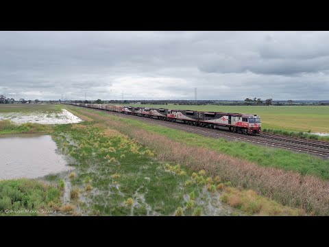 1PM9 With Five SCT Class Diesels On Mixed Freight Train (3/11/2022) - PoathTV Australian Railways