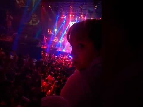 Mala fama- gordo rata