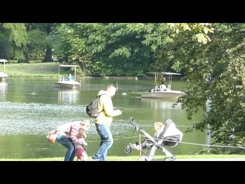 Fred und Luna ‒ Monotonikum