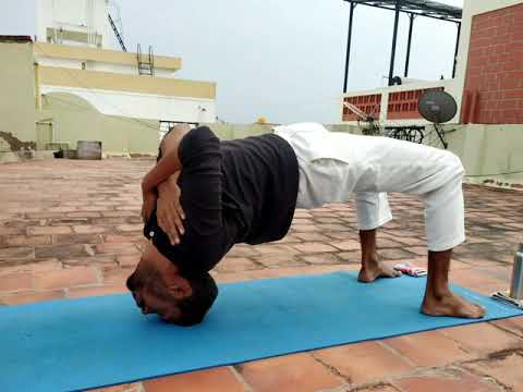 Advance Level Yogasana | Grivasana | Neck and Spine Therapy | Benefits #instareels #shorts