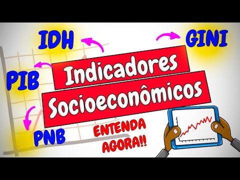 Indicadores Socioeconômicos: IDH, PIB, PNB, coeficiente de GINI, e outros (Geografia)