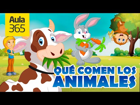 , title : 'Animales Herbívoros, Carnívoros y Omnívoros | Videos Educativos Aula365'