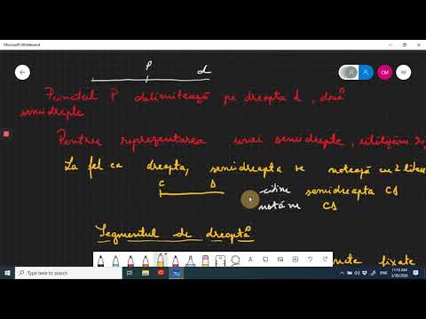 Punct,dreaptă,semidreaptă,segment,plan,semiplan