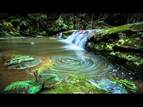 Oistrakh, Oborin - Beethoven - Violin Sonata No 6 in A major, Op 30