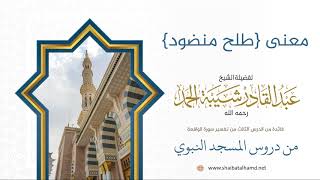 31 معنى {طلح منضود} - الشيخ عبدالقادر شيبة الحمد رحمه الله image