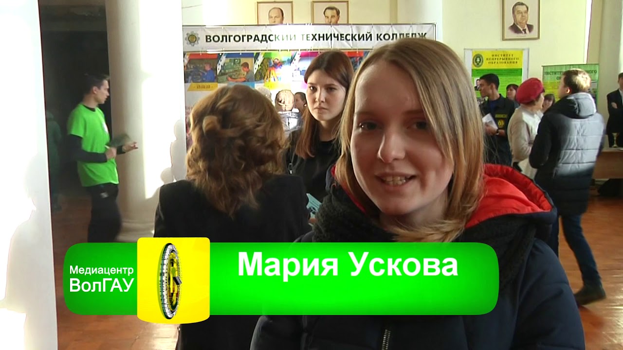 К чему снится ящерица большая: толкование сна К чему снится ящерица большая: толкование сна