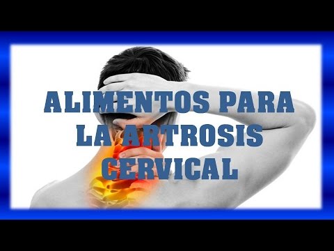 Displasia de cadera en los perros adultos Fuerte dolor en la columna vertebral en la región torácica