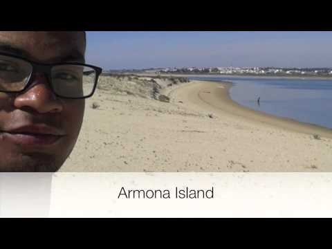 Stallerbike Internship Evaluation Video PPD