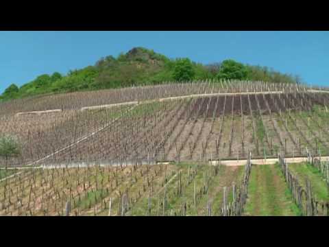 Apollinaris Quelle in Heppingen 2009