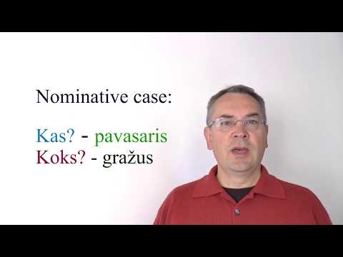 Lithuanian Lesson 52 - Koks? Kokia? Kokie? Kokios?  - What kind of?