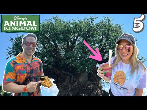 Our Top 5 BEST Animal Kingdom Snacks | Walt Disney World | Animal Kingdom Park 2023