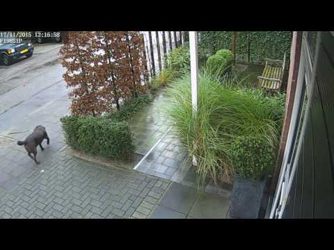Timelapse Voortuin