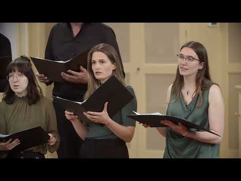 Bērzs tīrelī - Jāzeps Vītols