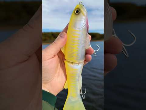 Deps Slide Swimmer 250 ❤️ #shorts #deps