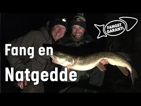 Fiskeri efter gedder om natten med Fangstgaranti