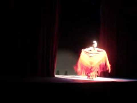 Flamenco dancer