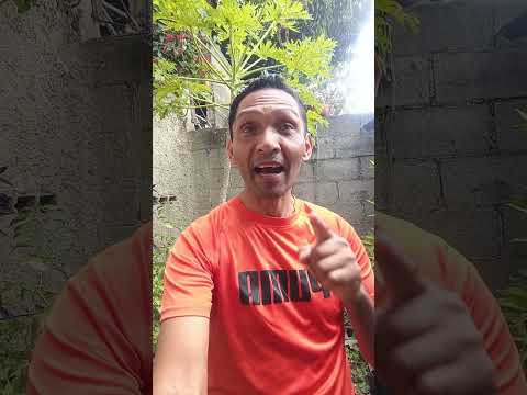 Terreno vía Higuerote Estado Miranda. WhatsApp +58 412 818 4178. Rubén Dario Terán Asesor.