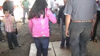 preview picture of video 'Zapatiado en el Moral Michoacan'