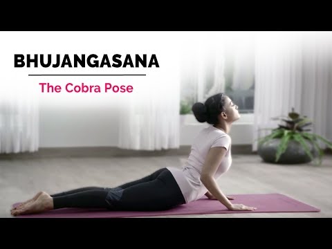 Bhujangasana | Cobra Yoga Pose | Steps | Benefits | Yogic Fitness