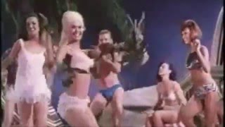 In the Shadows #20: The Night Has a Thousand Eyes