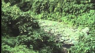 The Monk and the Honeybee Part 5-5