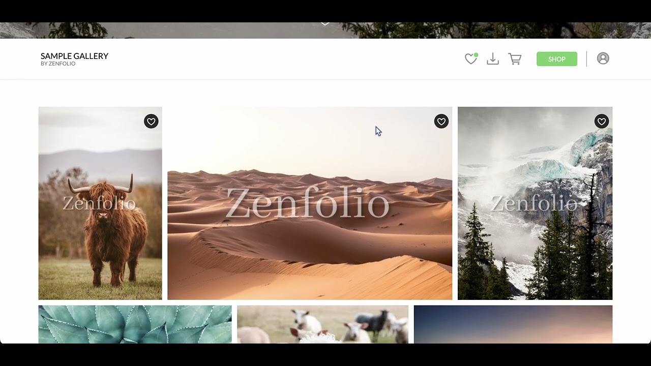 Zenfolio client proofing gallery