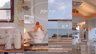 〖 韓国 チェジュ旅行 vlog〗24時間でチェジュのカフェやごはんをたくさん巡る旅/韓国カフェ/韓国ごはん/ブイログ/