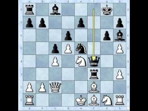 Najlepša šahovska partija Nuna -  BELIAVSKY vs NUNN - Kraljeva indijska odb # 360