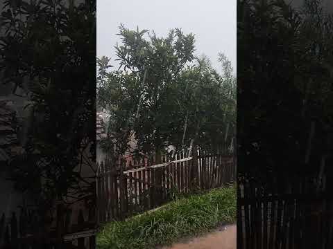Nosso Domingão está sendo assim aqui em Lucianópolis SP.