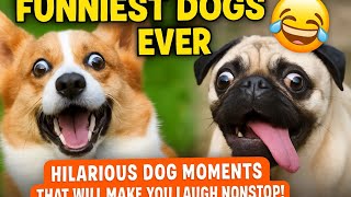 Funniest Dogs Ever 😂 | Hilarious Dog Moments That Will Make You Laugh Nonstop!