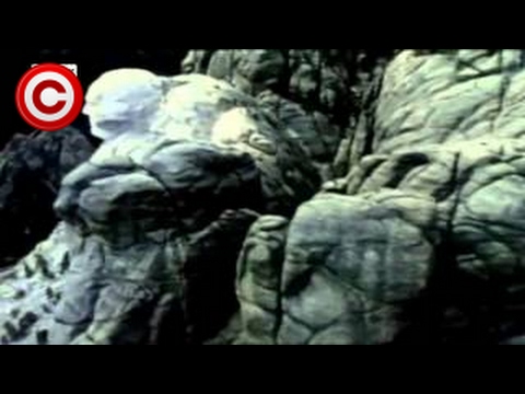 ️ ️ Die verborgene Macht 2 2 Geheimbund der Freimaurer Doku480p H 264 AAC Doku 2017