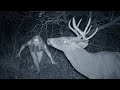 Top 10 WEIRD Trail Cam Photos That Will Haunt You