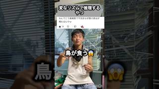 変なリズムで推測するやつ#分かっちゃいないね #djembejoji #ジャンベジョージ