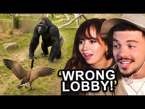 The Most OP Birds on The Planet..