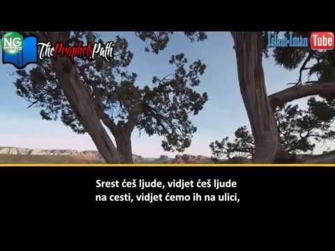 Šejh  Ismail ibn Musa Menk - Kakvi bi muslimani trebali biti