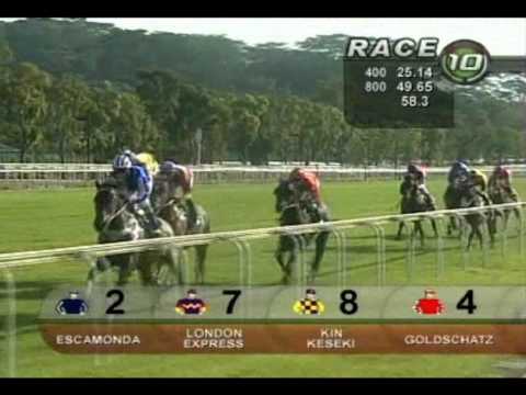 Woodlands Classic Stakes 2010 (Goldschatz)