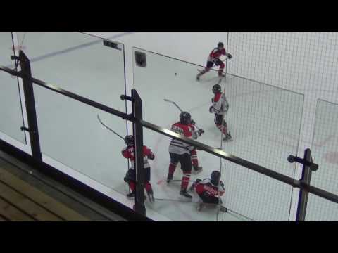 HC Vipers 03/04 – HC Panter 03/04  6-1(1-0; 1-1; 4-0)  22.02.2017