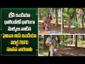 Femina Miss India World 2020 Manasa Varanasi Participating In Green India Challenge Plantation