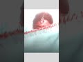 Geetha Govindam Wife Husband Beautiful Love What S App Status
