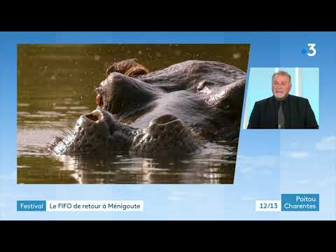 Dominique Brouard, président du FIFO de Ménigoute : "Le jury aura un très gros travail, cette année"