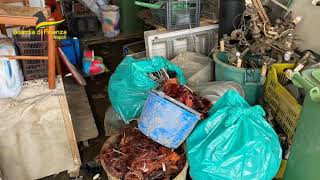 discarica-abusiva-in-giardino-sequestrate-15-tonnellate-di-rifiuti