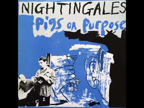 Nightingales ''Start From Scratch'' (John Peel Session)