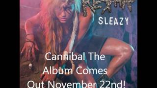 Ke$ha - Sleazy (New Song 2010!)