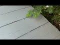 Carpenter Ants Popping Out of Deck in Millstone Township, NJ