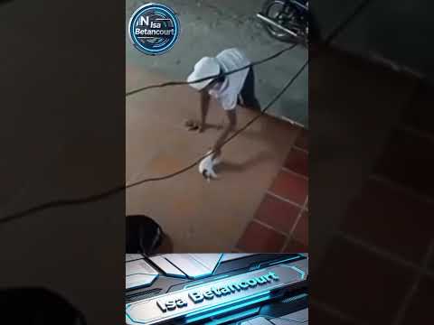 Ya ni los animalitos se salvan de la inseguridad, en San Onofre. #colombia #shorts