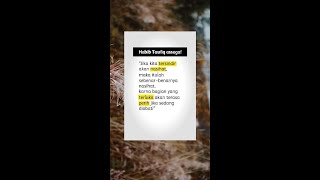 Download lagu #TemanHealing #hello2022 #TumbuhPenuhRasa #xyzbca #samasamabelajar #quotes #fyp #serunyaditiktok mp3