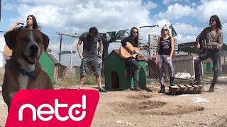 The Madcap - Sessiz Çığlık