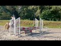 Ruin Franse rijpony PFS Te koop 2021 Lichte manen en staart ,  ACHILLE DE ST GERY
